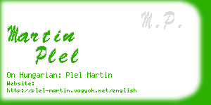 martin plel business card